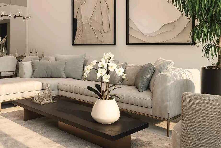 Asayel Avenue gallery 3