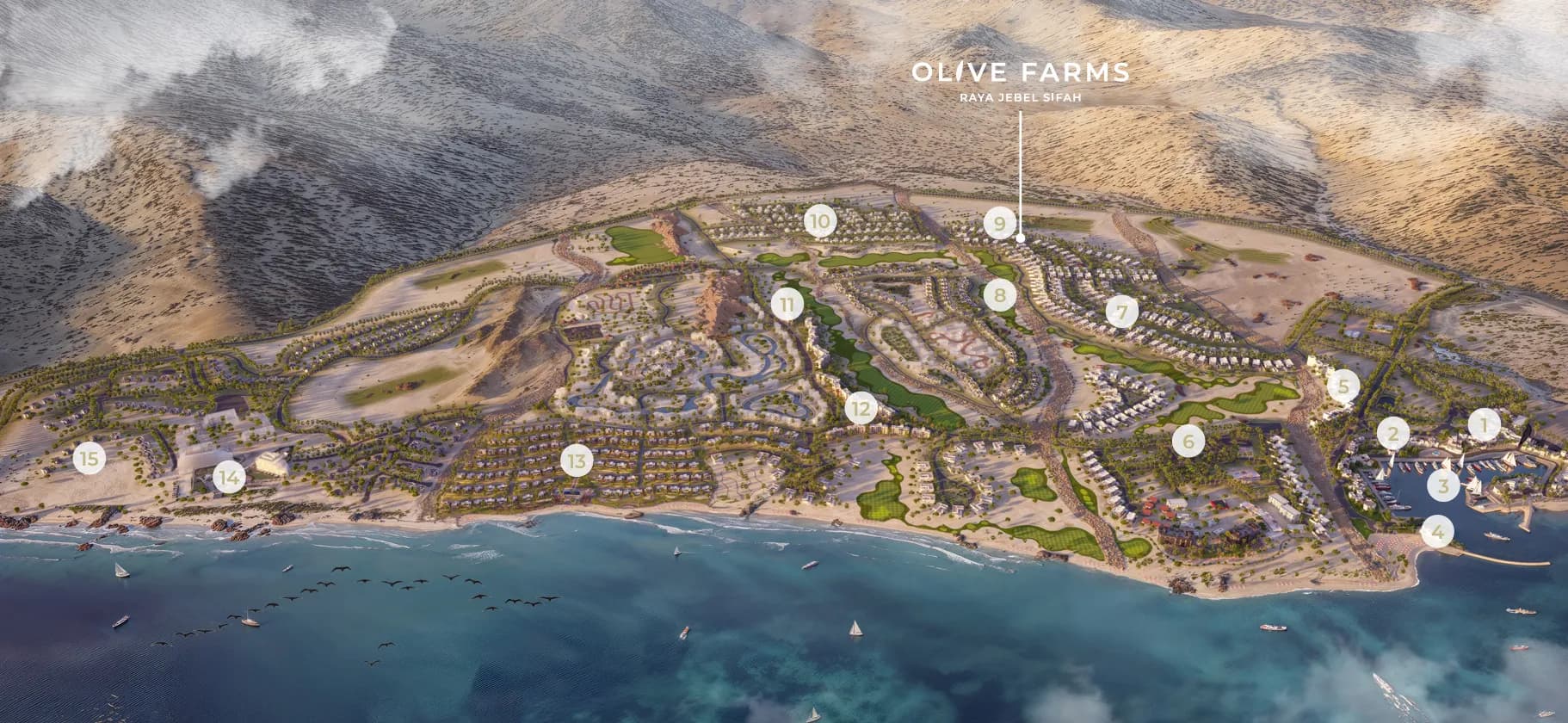 Jebel Sifah - Olive Farms — image 1
