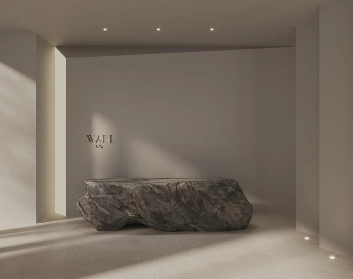Wadi 645 gallery 12