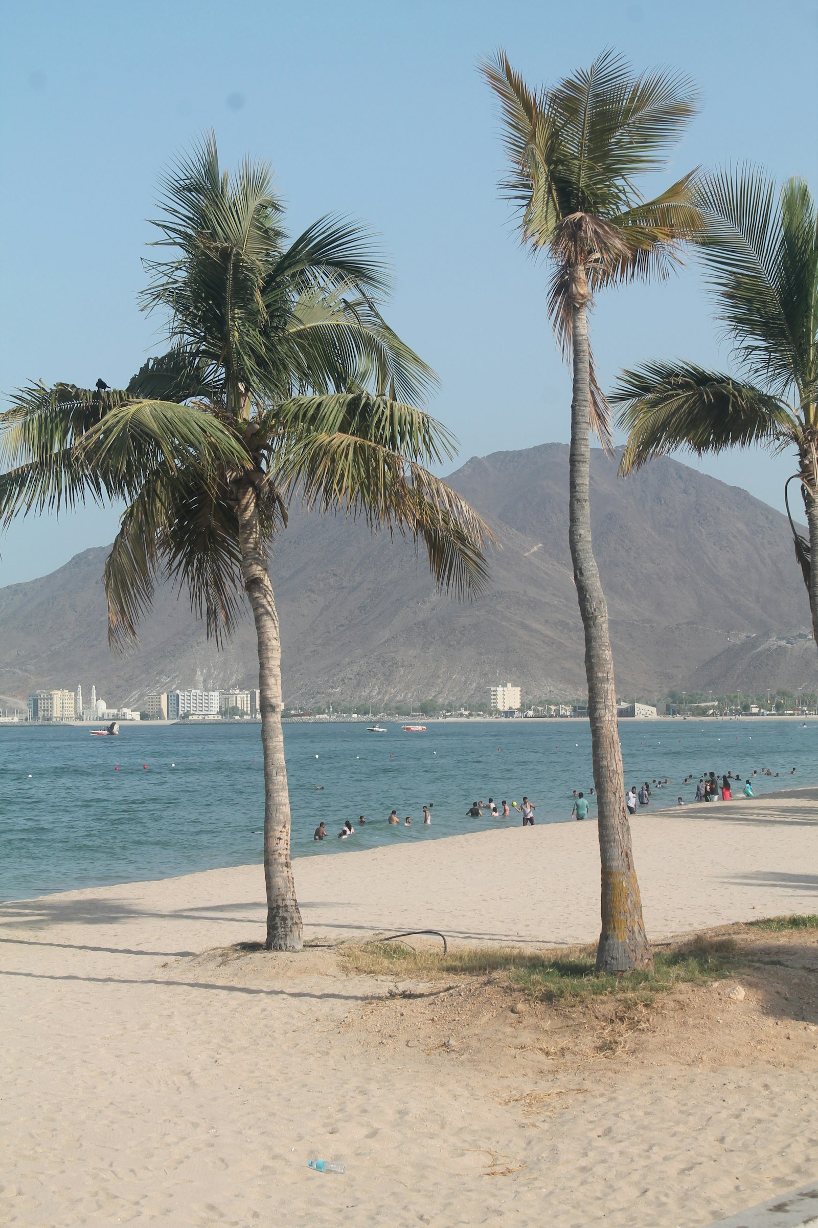 Coastal beach and mountain backdrop, Ras Al Khaimah, UAE